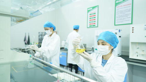 疆果果健康食品研究院獲評(píng)自治區(qū)級(jí)企業(yè)技術(shù)中心，引領(lǐng)健康食品產(chǎn)業(yè)創(chuàng)新發(fā)展